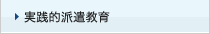実践的派遣教育